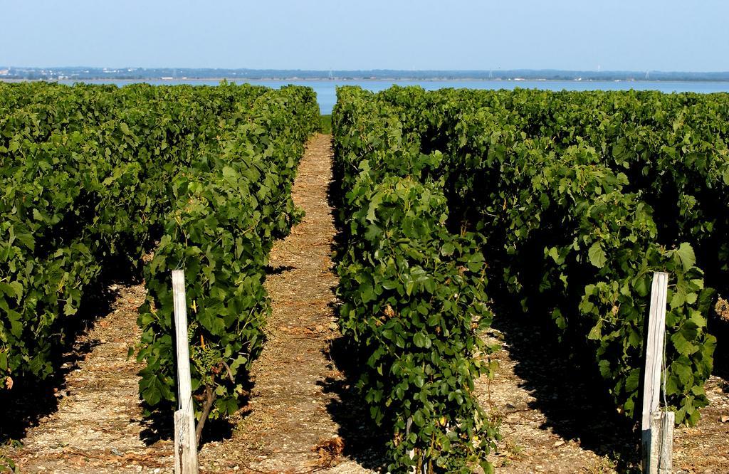 Vvf Soulac-Sur-Mer Bordeaux Medoc Eksteriør billede